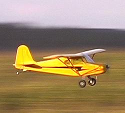 Bruce's Piper Cub